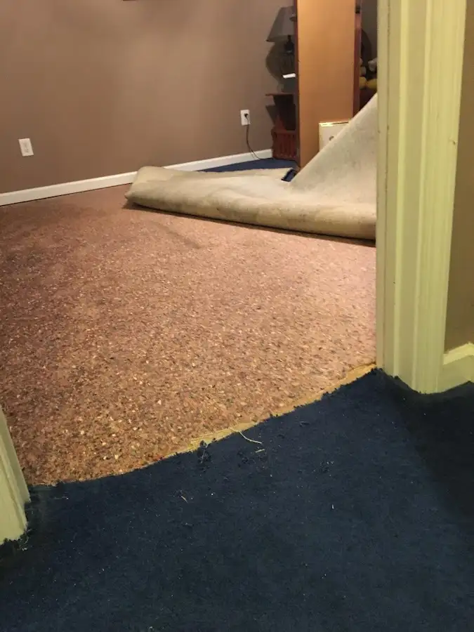 Carpet pad removal revealing water damage during Water Mitigation Services in Clarks Summit
