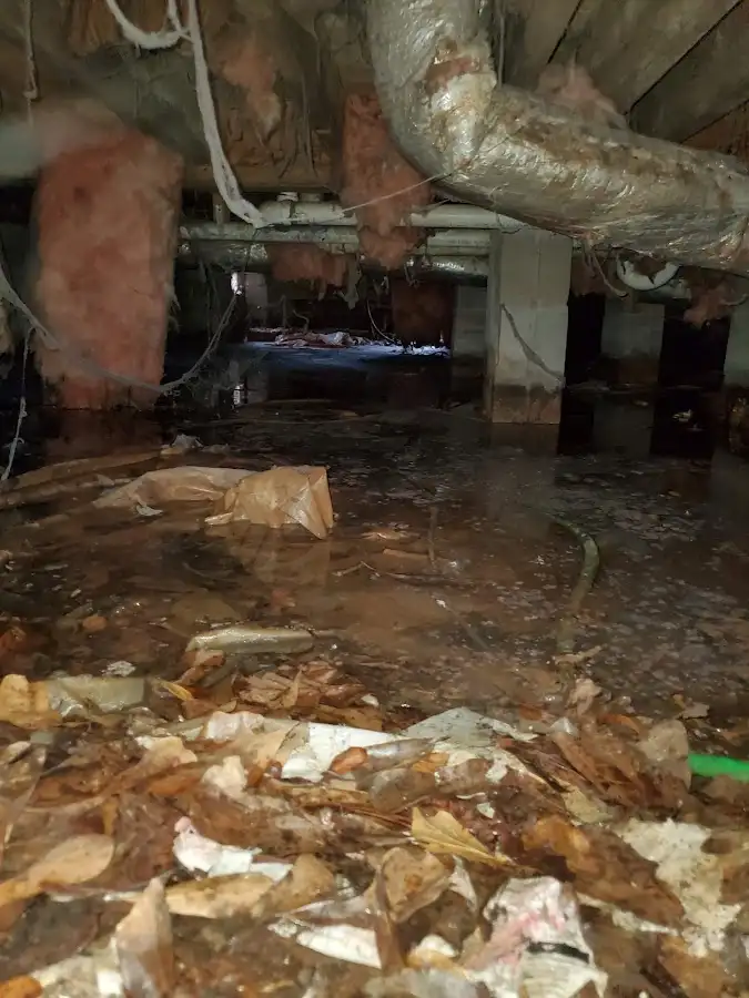 Crawl space flood assessment for Leak Detection & Repair in Clarks Summit